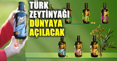 Türk zeytinyağı ABD pazarında