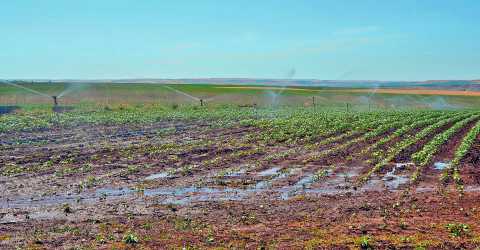 Dicle Elektrik, abonelerini uyardı