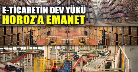 Horoz Lojistik ve Temu'dan İş Birliği