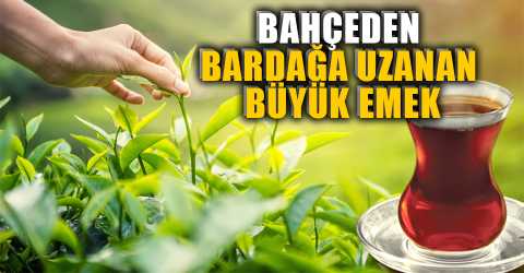 Bir bardak çay deyip geçmeyin!